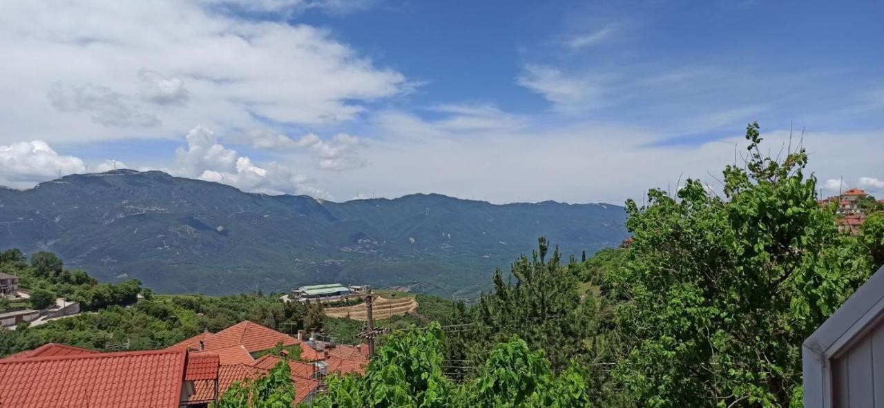 Βαδόκειος Γη Hotel Zitsa Ngoại thất bức ảnh